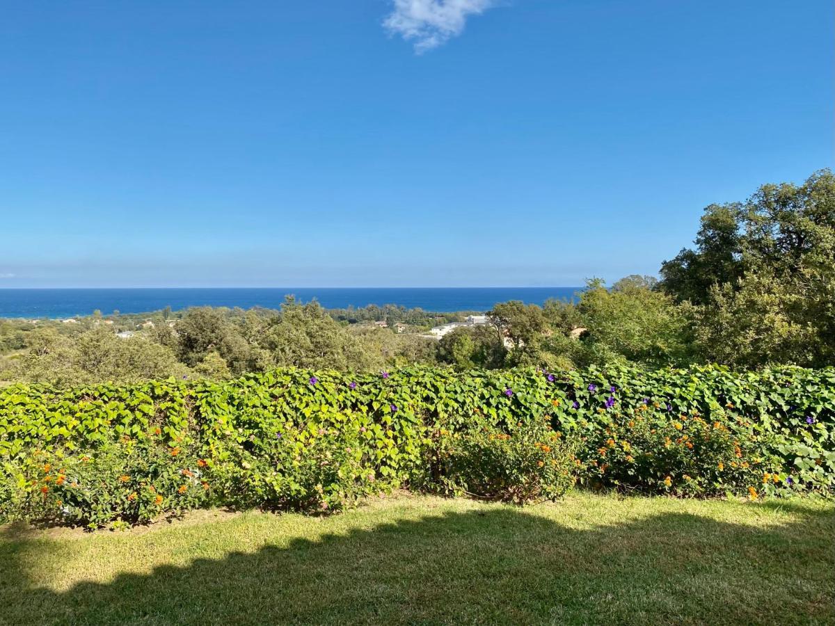 Villa panorama maquis et mer, plage à 1,5 Km Cervione Eksteriør bilde