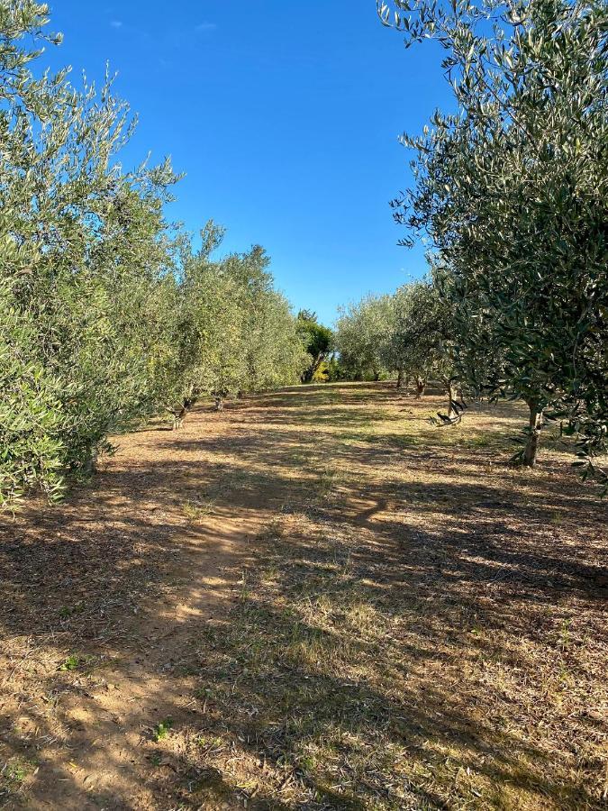 Villa panorama maquis et mer, plage à 1,5 Km Cervione Eksteriør bilde