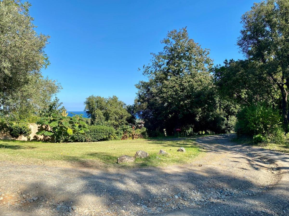 Villa panorama maquis et mer, plage à 1,5 Km Cervione Eksteriør bilde