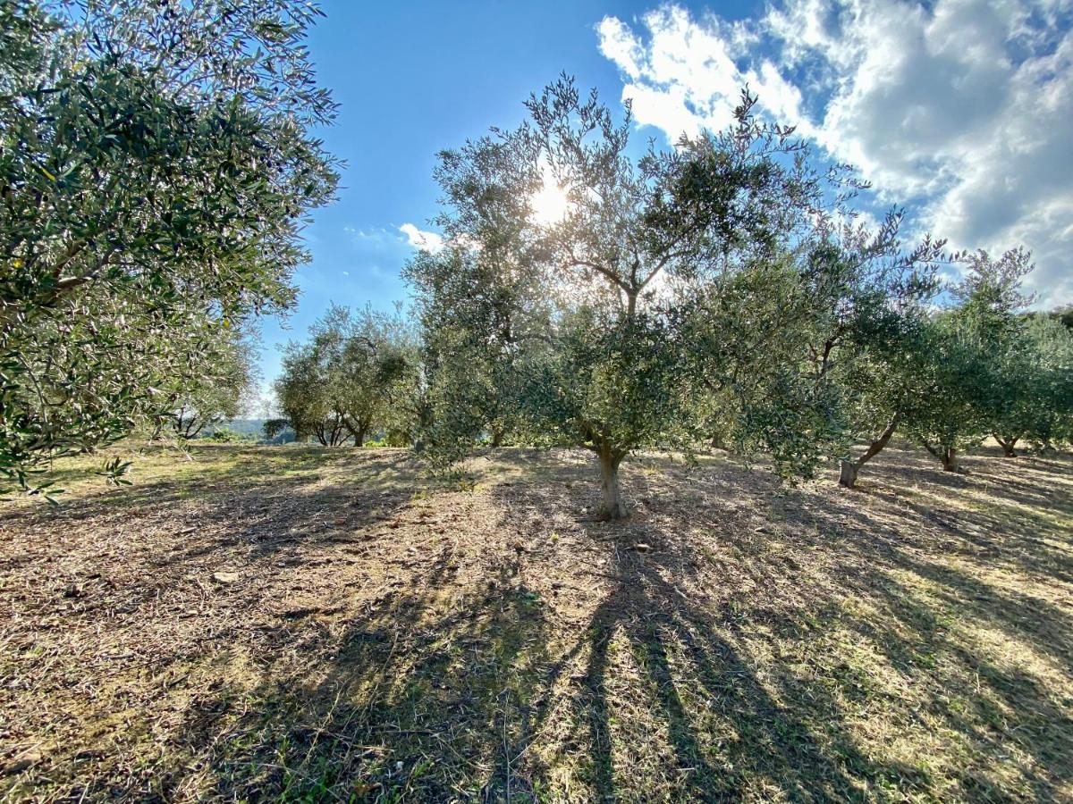 Villa panorama maquis et mer, plage à 1,5 Km Cervione Eksteriør bilde